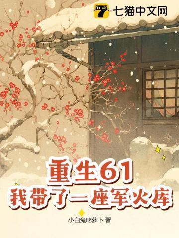 我带了一座军火库TXT