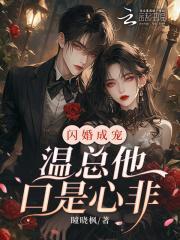 闪婚老公很神秘温轻轻