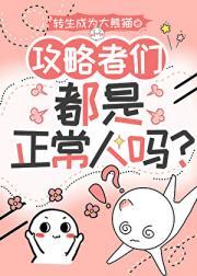 攻略者什么意思